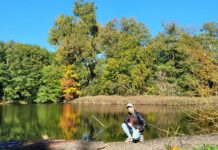 Jesień 2024 w fotografii