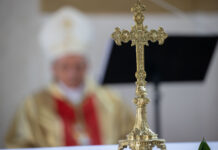 Prymicje biskupie w rodzinnej parafii