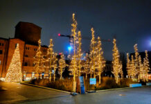 Zimowa fotografia świąteczna