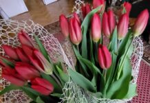 14 lutego – Valentine’s day