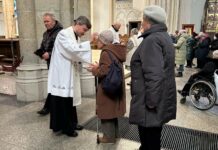 Dzień Chorego – w pracy i w posłudze