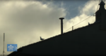 Zrzut ekranu 2025-05-07 195331