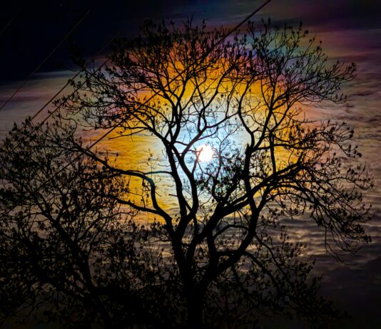 Bobrza Pełnia Księżyca na listopadowym niebie