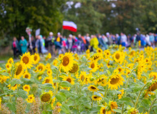 101Piesza Pielgrzymka na Jasną Górę 2026 – obsługa medialna