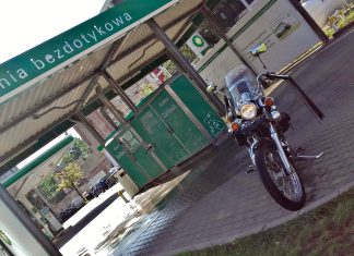 Bo o rumaka trzeba dbać…