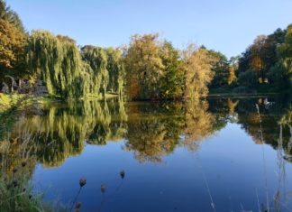 Jesienny spacer po parku