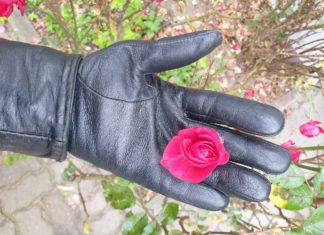 Listopadowy spacer po parku