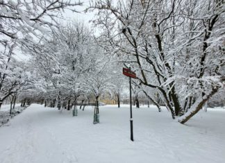 Zima 2023 w mieście… w obiektywie