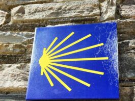 A może by tak wyruszyć w tym roku na #CAMINO?