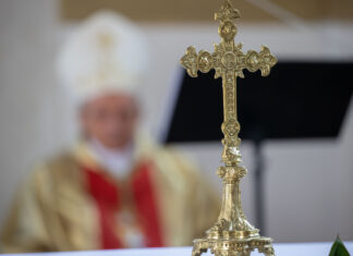 Prymicje biskupie w rodzinnej parafii