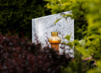 Droga Światła 2025 w ogrodzie