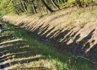 Fotoreportaż 100 Pieszej Pielgrzymki na Jasną Górę – 2025