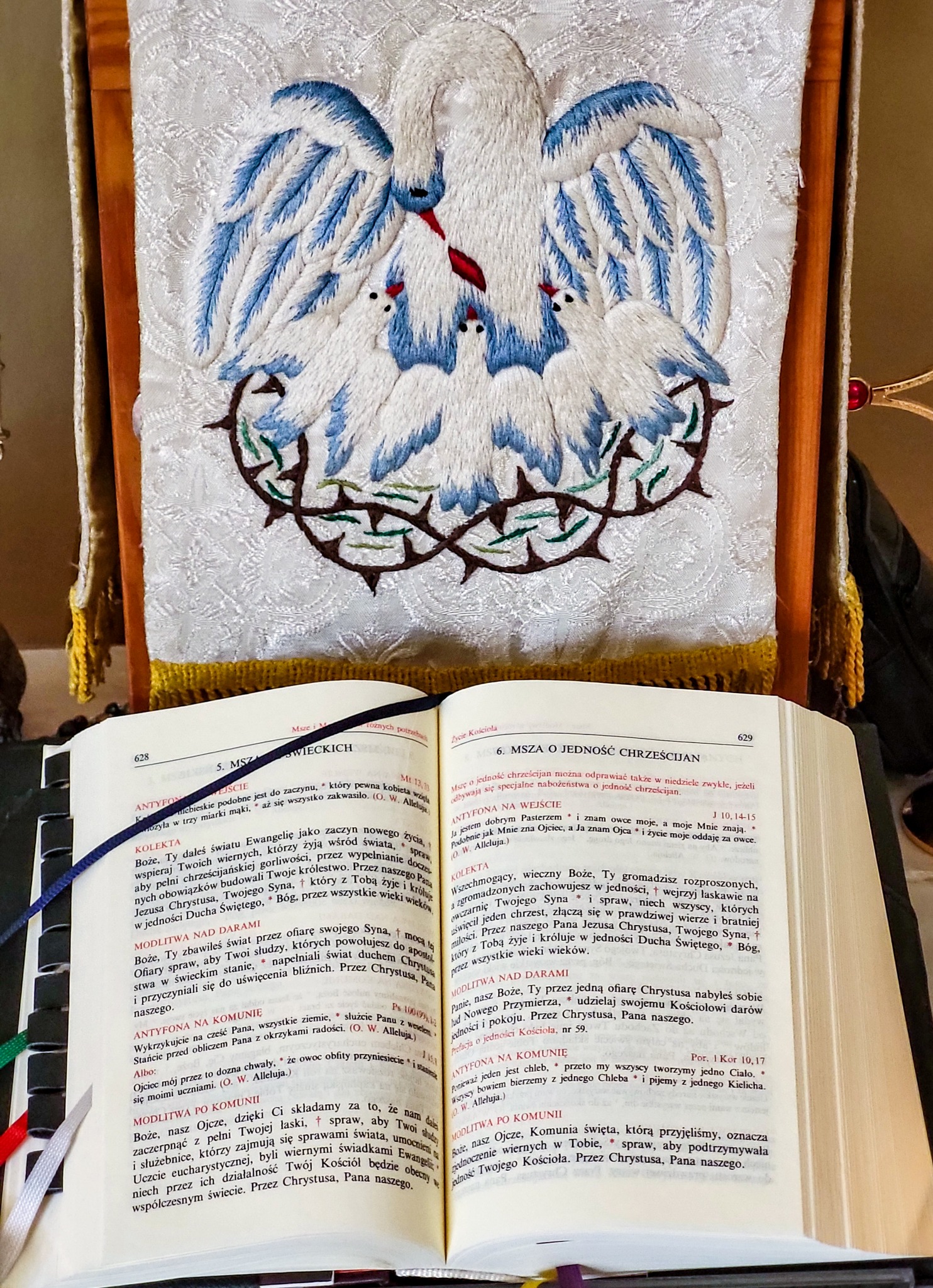 574492503_2222331244902178_746786482943042516_n