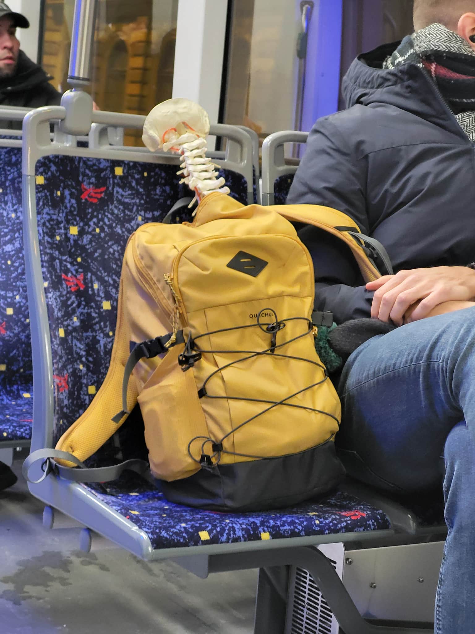 d654c373-89ad-47b9-bb9c-410db72922fe