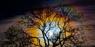 Bobrza Pełnia Księżyca na listopadowym niebie