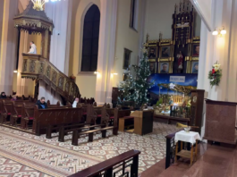 Byłeś poganianiem, ale przez Chrzest wszedłeś do Kościoła! Proste Kazanie 2026