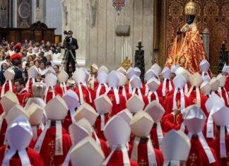 To Piotr i Jego następcy wyznaczają biskupów, nikt nie ma prawa czynić tego za Niego! – refleksja na temat aktualnej sytuacji w Kościele